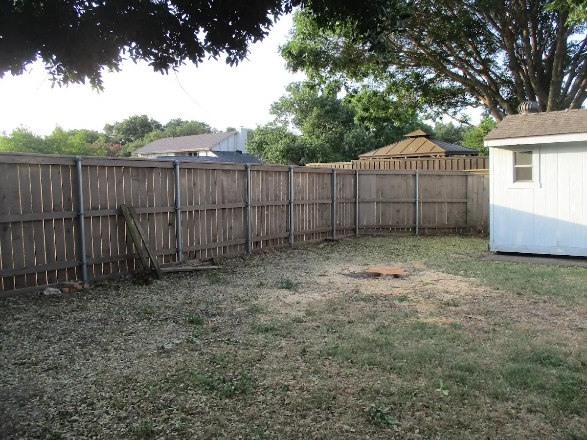 Cleared yard after professional tree removal in Prairie Du Rocher